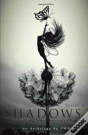 Capa do artigo Shadows Series 4