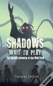 Capa do artigo Shadows Wait To Play