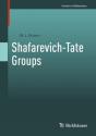 Shafarevich-Tate Groups - Preview