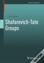 Shafarevich-Tate Groups