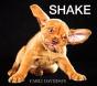 Shake - Preview