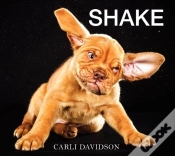 Capa do artigo Shake