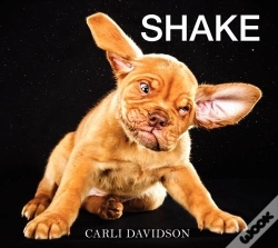 Capa do artigo Shake