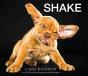 Shake - Preview