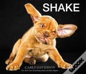 Capa do artigo Shake