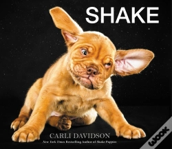 Capa do artigo Shake