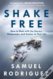 Capa do artigo Shake Free