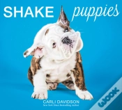 Capa do artigo Shake Puppies