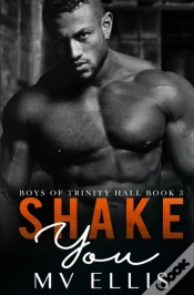 Capa do artigo Shake You