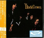 Capa do artigo Shake Your Money Maker - CD