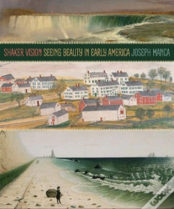 Capa do artigo Shaker Vision
