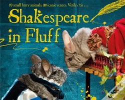 Capa do artigo Shakespeare In Fluff