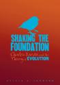 Shaking The Foundation - Preview