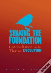 Shaking The Foundation