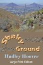 Shaky Ground (Lp) - Preview