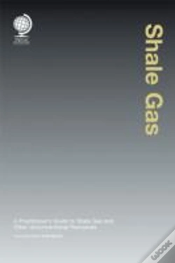 Capa do artigo Shale Gas And Other Unconventional Resources