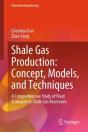 Shale Gas Production: Concept, Models, And Techniques - Preview