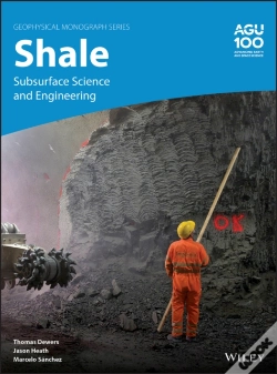 Capa do artigo Shale
