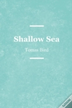 Capa do artigo Shallow Sea