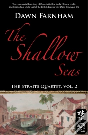 Capa do artigo Shallow Seas