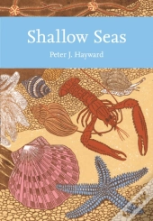 Shallow Seas
