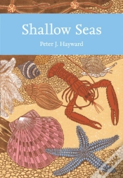 Capa do artigo Shallow Seas