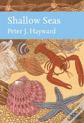 Shallow Seas