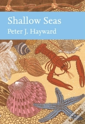 Capa do artigo Shallow Seas