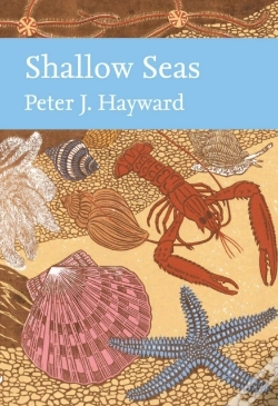 Capa do artigo Shallow Seas