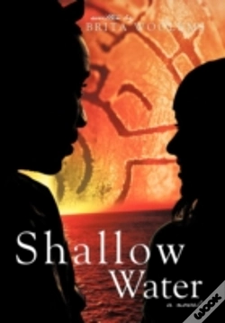 Capa do artigo Shallow Water