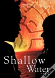 Capa do artigo Shallow Water