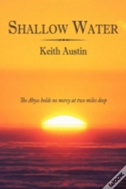 Capa do artigo Shallow Water