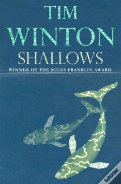 Capa do artigo Shallows