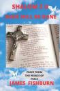 Shalom 2 U - Preview