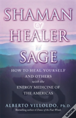 Capa do artigo Shaman, Healer, Sage