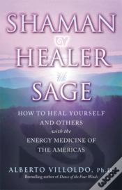 Capa do artigo Shaman, Healer, Sage