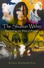 Shaman Within - Preview