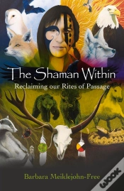 Capa do artigo Shaman Within