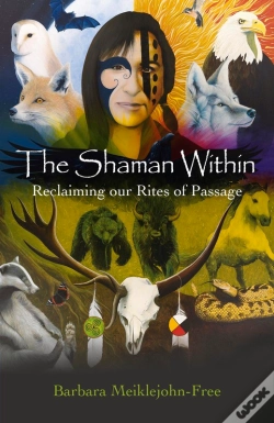 Capa do artigo Shaman Within