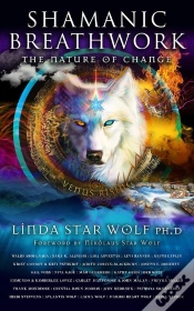 Capa do artigo Shamanic Breathwork