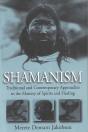 Shamanism - Preview