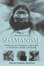 Shamanism - Preview