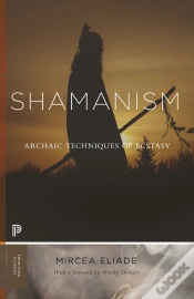 Capa do artigo Shamanism