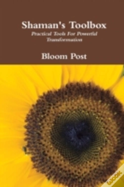 Capa do artigo Shaman'S Toolbox: Practical Tools For Powerful Transformation