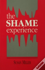 Capa do artigo Shame Experience