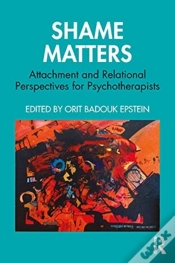 Capa do artigo Shame Matters