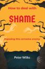 Shame - Preview