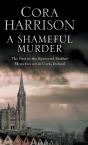 Shameful Murder Large Print - Preview