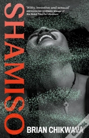 Capa do artigo Shamiso