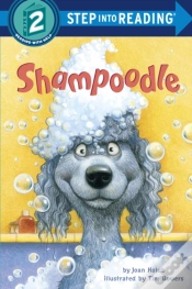 Capa do artigo Shampoodle